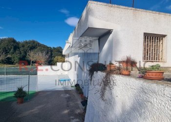 20241119_102924.jpg - Capannone Strada Provinciale ex SS 581 126, Martina Franca - foto 11