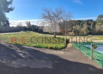 20241119_103011.jpg - Capannone Strada Provinciale ex SS 581 126, Martina Franca - foto 13