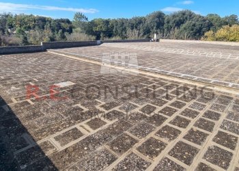 20241119_103057.jpg - Capannone Strada Provinciale ex SS 581 126, Martina Franca - foto 16