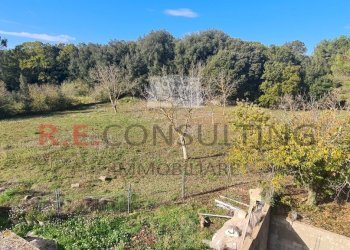 20241119_103146.jpg - Capannone Strada Provinciale ex SS 581 126, Martina Franca - foto 19