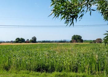 Imm. Castelmaggiore Via Passo Pioppe 90-10.jpg - Rustico Via Passo Pioppe 20, Castel Maggiore - foto 14