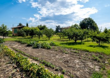 Imm. Castelmaggiore Via Passo Pioppe 90-11.jpg - Rustico Via Passo Pioppe 20, Castel Maggiore - foto 14