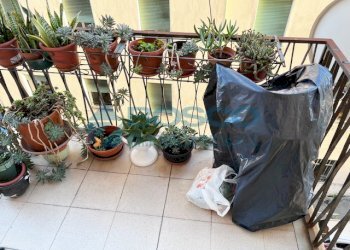 IMG_2588.jpg - Appartamento Via Vittorio Veneto 20, La Spezia - foto 4