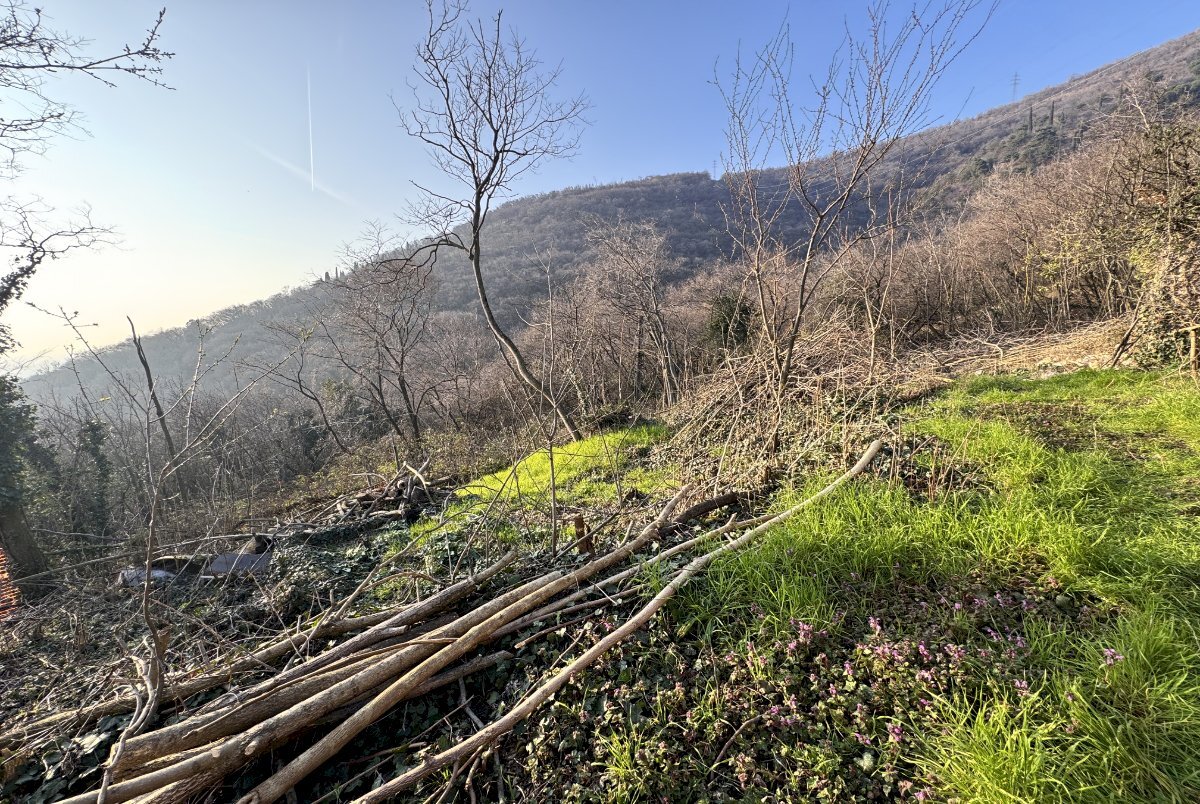 04_rudere_in_vendita_via_santelle_brescia.jpg - Rustic Brescia - photo 3