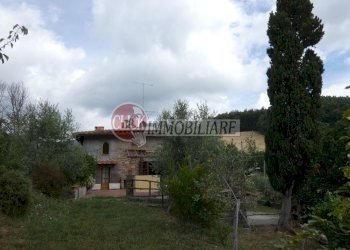 P1060759.jpg - Casale Scarperia e San Piero - foto 18