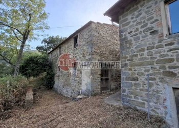 IMG-20240821-WA0012.jpg - Casa indipendente San Godenzo - foto 4