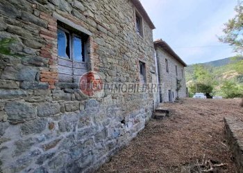 IMG-20240821-WA0008.jpg - Casa indipendente San Godenzo - foto 5