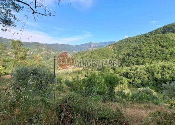 IMG-20240821-WA0010.jpg - Casa indipendente San Godenzo - foto 7