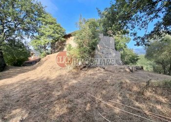 IMG-20240821-WA0025.jpg - Casa indipendente San Godenzo - foto 9