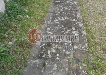 P1090029.JPG - Independent house Vicchio - photo 22