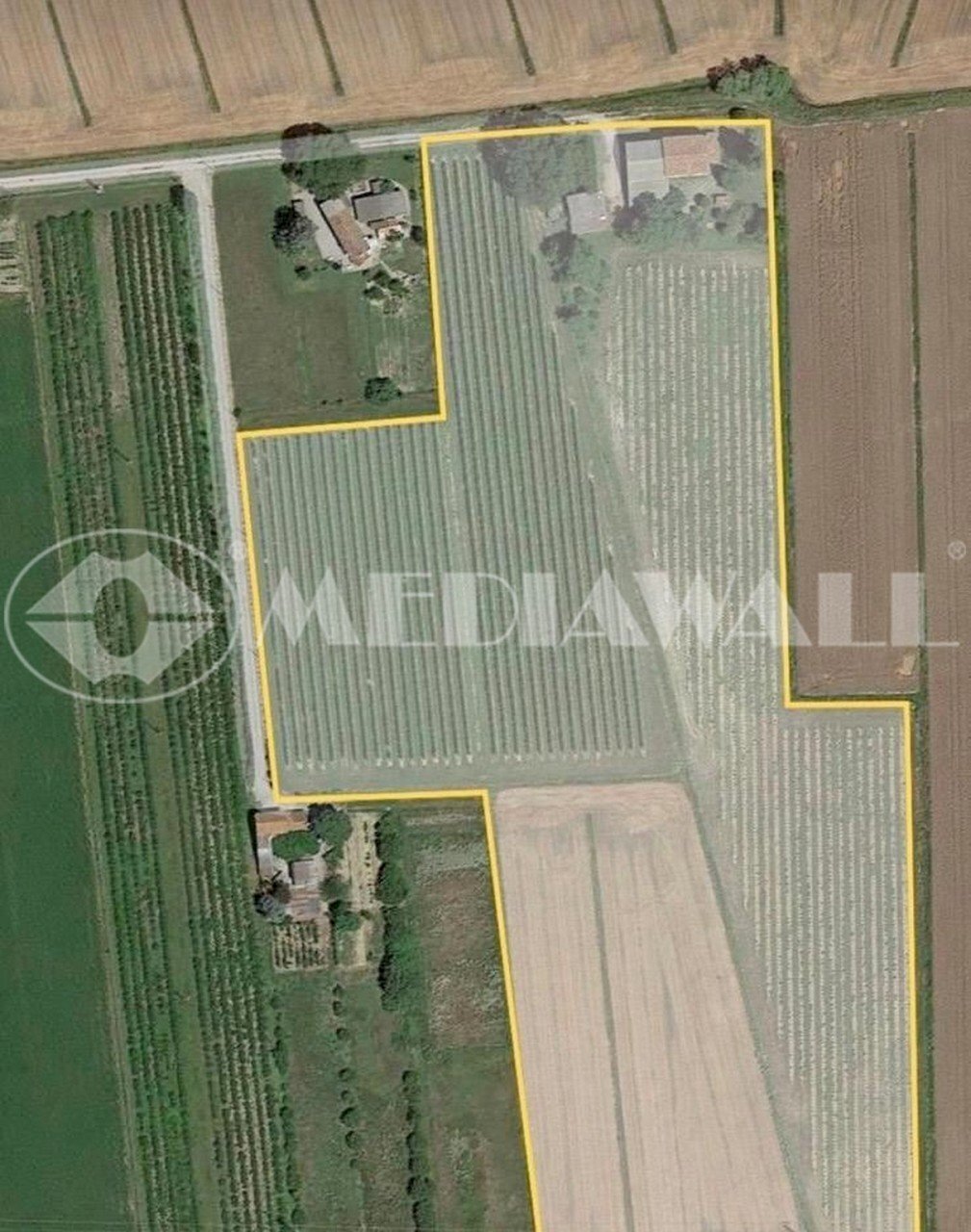 BR-166-RV.JPG - Casale Portogruaro - foto 1