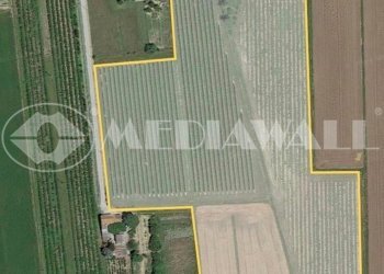 BR-166-RV.JPG - Casale Portogruaro - foto 1