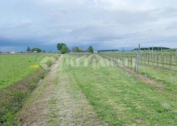 BR-166-RV_2.JPG - Casale Portogruaro - foto 4