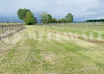 BR-166-RV_7.JPG - Casale Portogruaro - foto 5