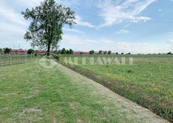 BR-166-RV_5.JPG - Casale Portogruaro - foto 6