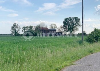 BR-166-RV_3.JPG - Casale Portogruaro - foto 7