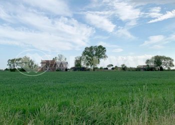 BR-166-RV_4.JPG - Casale Portogruaro - foto 8