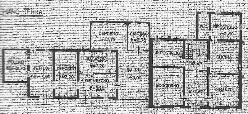 pln terra.jpg - Rustico Prata di Pordenone - planimetria 1