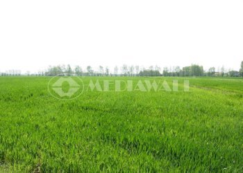 BQ-058-RV.jpg - Terreno edificabile Arba - foto 1