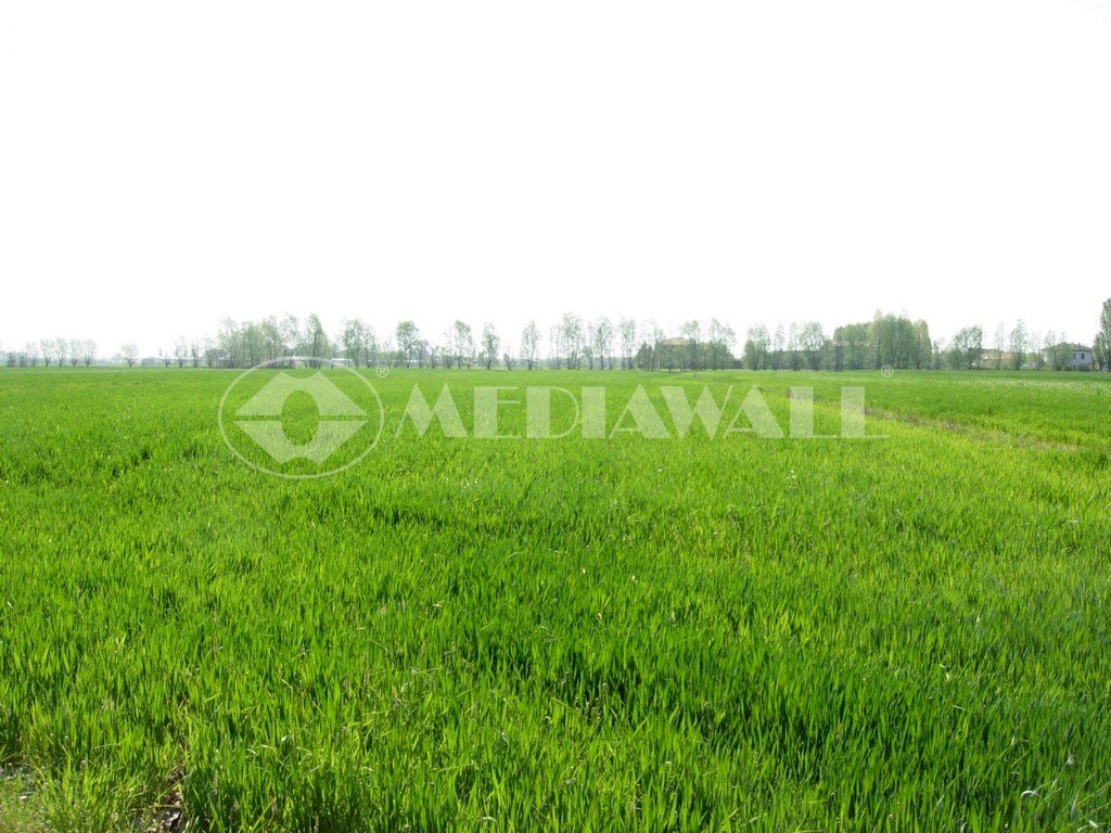 Terreno agricolo Roveredo in Piano - foto 1