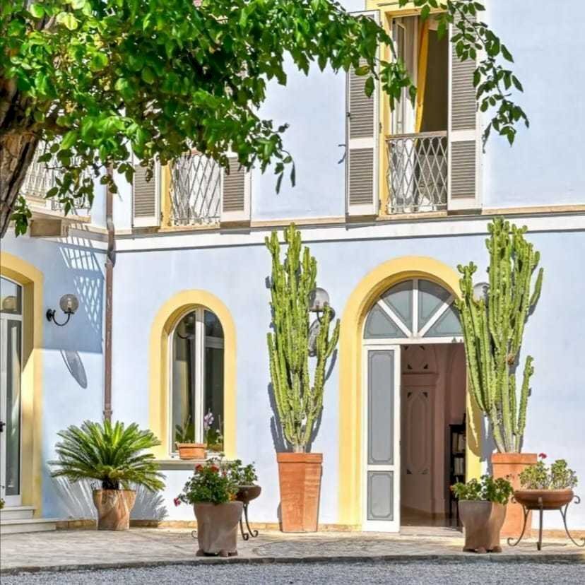 WhatsApp Image 2025-09-12 at 10.13.15 (1).jpeg - Apartment Silvi - photo 2