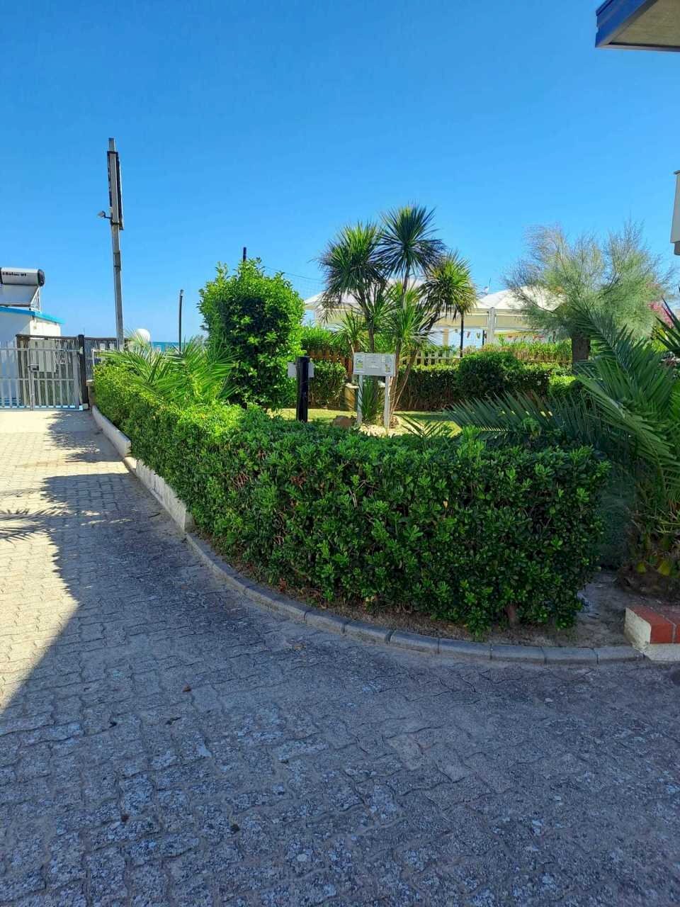 WhatsApp Image 2025-09-01 at 12.49.20.jpeg - Trilocale Silvi - foto 1