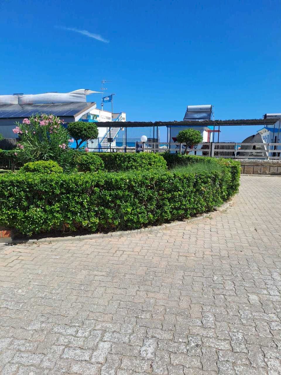 WhatsApp Image 2025-09-01 at 12.49.45.jpeg - Trilocale Silvi - foto 2