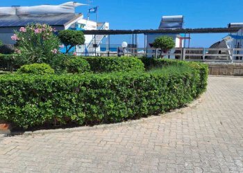 WhatsApp Image 2025-09-01 at 12.49.45.jpeg - Trilocale Silvi - foto 2