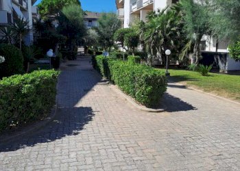 WhatsApp Image 2025-09-01 at 12.49.46.jpeg - Trilocale Silvi - foto 5