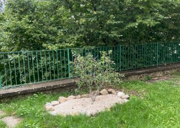 Villa a Schiera Via Sotto I Cerri 3, Civitella Alfedena - foto 8