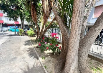 Apartment Pescara - photo 4