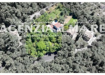 5log.jpg - Villa Trifamiliare Rapallo - foto 5