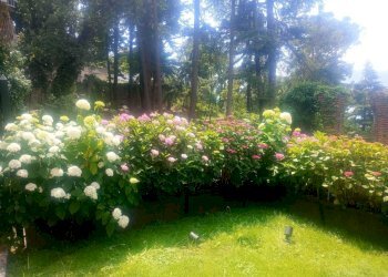 WhatsApp Image 2025-06-07 at 14.41.06 (3).jpeg - Trilocale Zoagli - foto 21