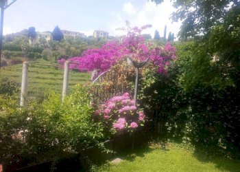 WhatsApp Image 2025-06-07 at 14.41.06 (1).jpeg - Trilocale Zoagli - foto 27