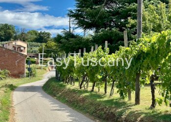 image00001.jpeg - Villa via della foce, Capannori - foto 3