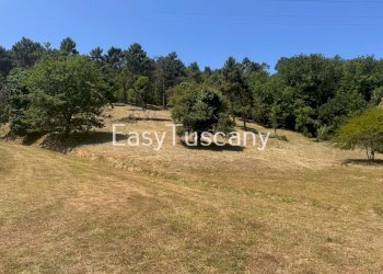 IMG_8825.jpeg - Villa Vecchiano - photo 25