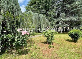 image00004.jpeg - Villa Via Sottomonte 240, Capannori - foto 2