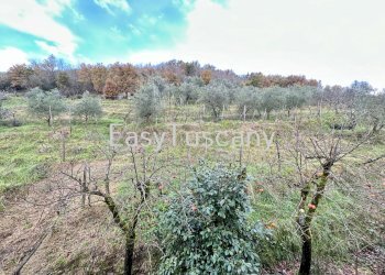 image00008.jpeg - Casale via ludovica, Lucca - foto 20