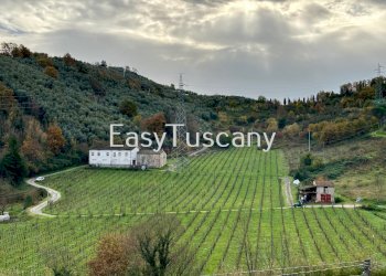 image00010.jpeg - Casale via ludovica, Lucca - foto 21