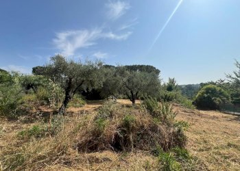 WhatsApp Image 2025-08-27 at 16.31.24 (5).jpeg - Villa Civitella San Paolo - foto 20