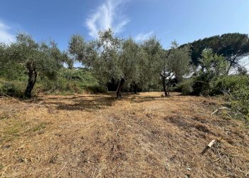 WhatsApp Image 2025-08-27 at 16.31.24 (6).jpeg - Villa Civitella San Paolo - foto 21