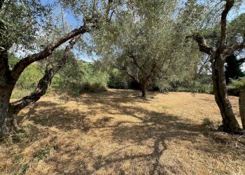 WhatsApp Image 2025-08-27 at 16.31.25.jpeg - Villa Civitella San Paolo - foto 22