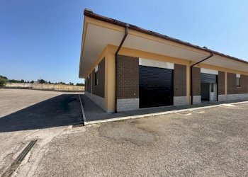 WhatsApp Image 2025-06-23 at 14.55.53.jpeg - Capannone Fiano Romano - foto 1