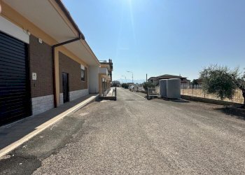 WhatsApp Image 2025-06-23 at 14.55.50.jpeg - Capannone Fiano Romano - foto 2