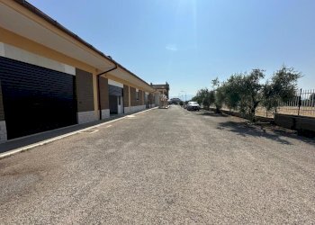 WhatsApp Image 2025-06-23 at 14.55.53 (1).jpeg - Capannone Fiano Romano - foto 4