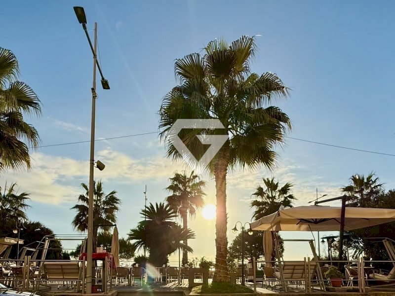 IMG_8944-800x600.jpg - Bar Tavola Calda - Fredda Corso Roma, Loano - foto 2