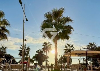 IMG_8944-800x600.jpg - Bar Tavola Calda - Fredda Corso Roma, Loano - foto 2