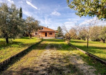 689955609 (1).jpg - Villa Via di Gallicano, Zagarolo - foto 2