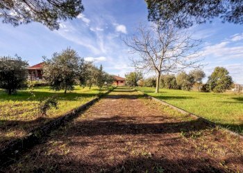 689955614.jpg - Villa Via di Gallicano, Zagarolo - foto 24