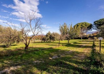 689955616.jpg - Villa Via di Gallicano, Zagarolo - foto 26